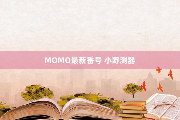 MOMO最新番号 小野测器