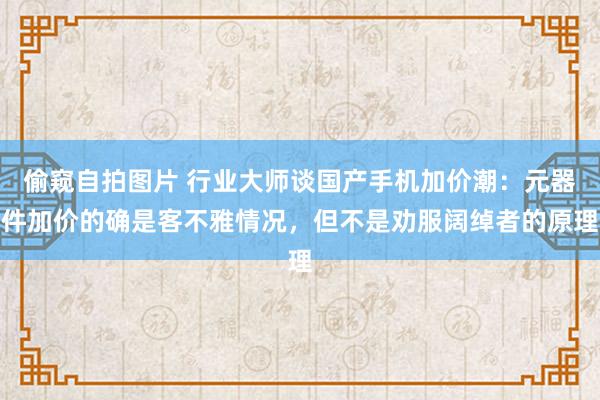 偷窥自拍图片 行业大师谈国产手机加价潮：元器件加价的确是客不雅情况，但不是劝服阔绰者的原理