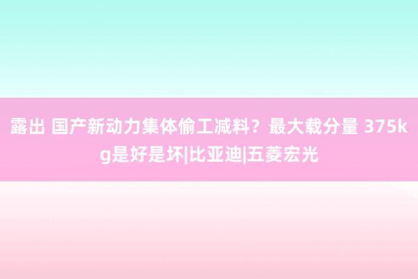 露出 国产新动力集体偷工减料？最大载分量 375kg是好是坏|比亚迪|五菱宏光