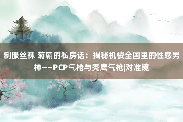 制服丝袜 菊霸的私房话：揭秘机械全国里的性感男神——PCP气枪与秃鹰气枪|对准镜