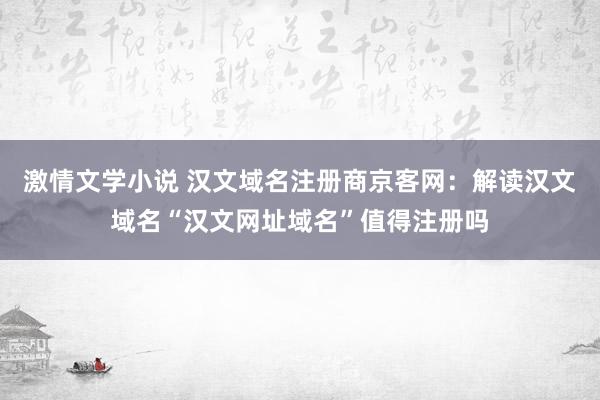 激情文学小说 汉文域名注册商京客网：解读汉文域名“汉文网址域名”值得注册吗