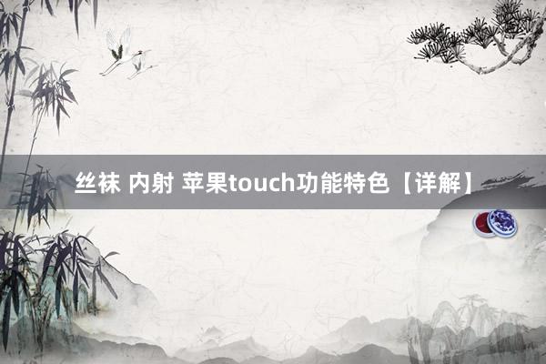 丝袜 内射 苹果touch功能特色【详解】