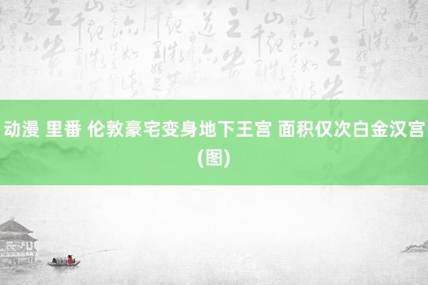 动漫 里番 伦敦豪宅变身地下王宫 面积仅次白金汉宫(图)