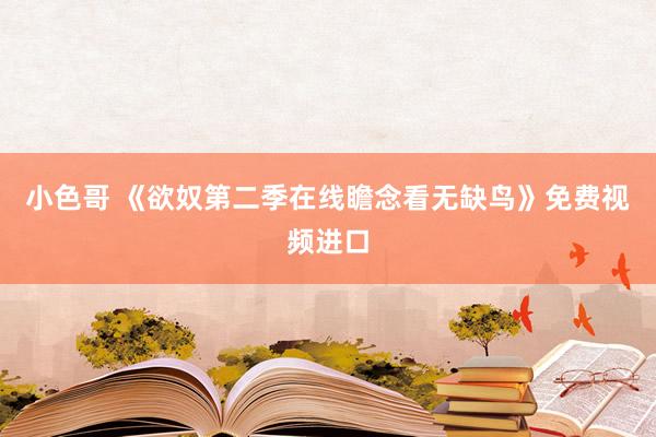 小色哥 《欲奴第二季在线瞻念看无缺鸟》免费视频进口